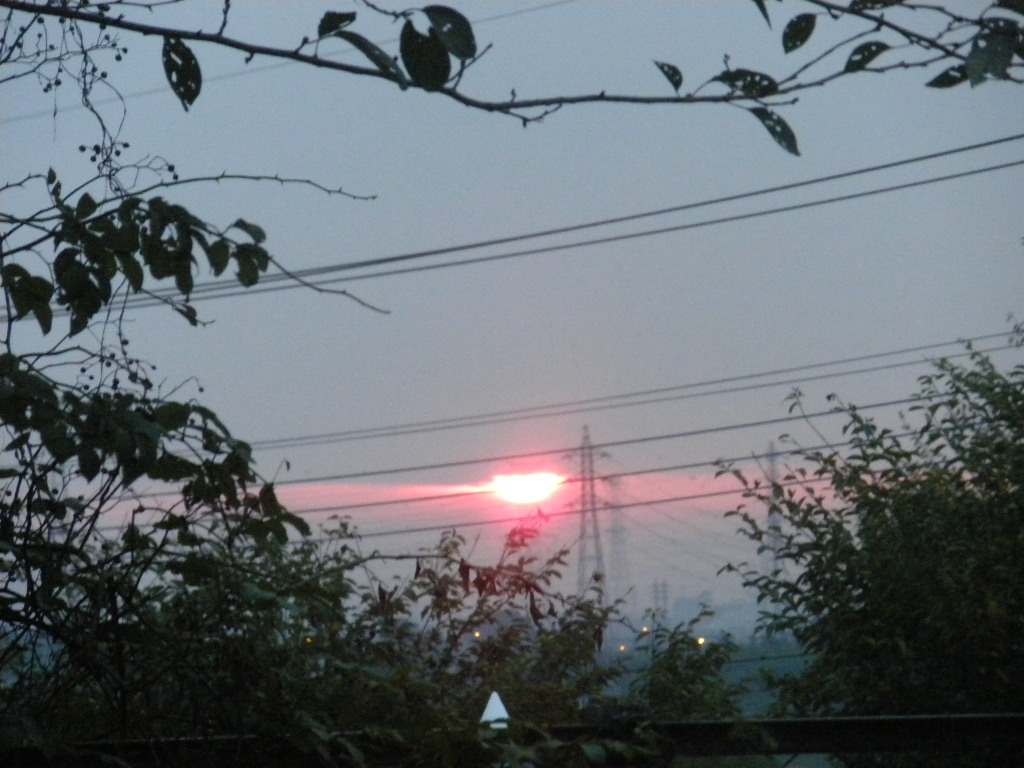 f0163928_1144394.jpg