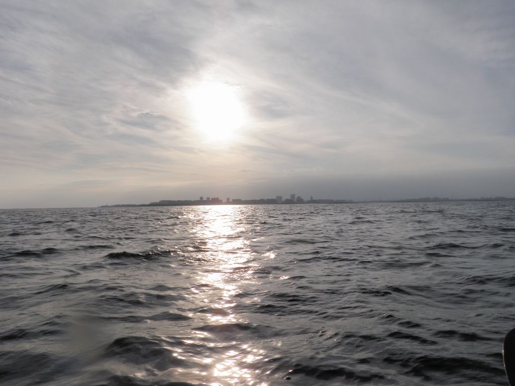 b0173629_17353670.jpg