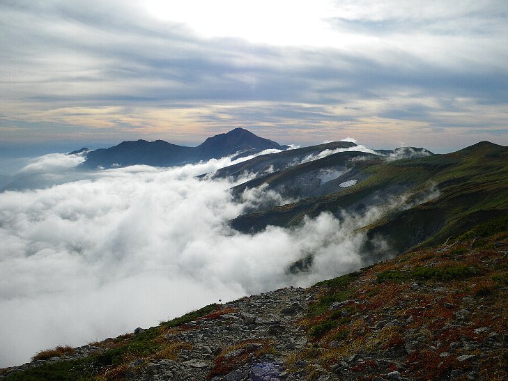 f0118332_026390.jpg
