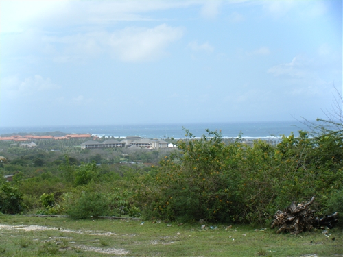 b0102639_1722924.jpg