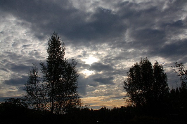 c0153740_18114531.jpg