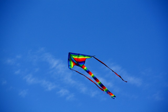 c0153740_2247566.jpg