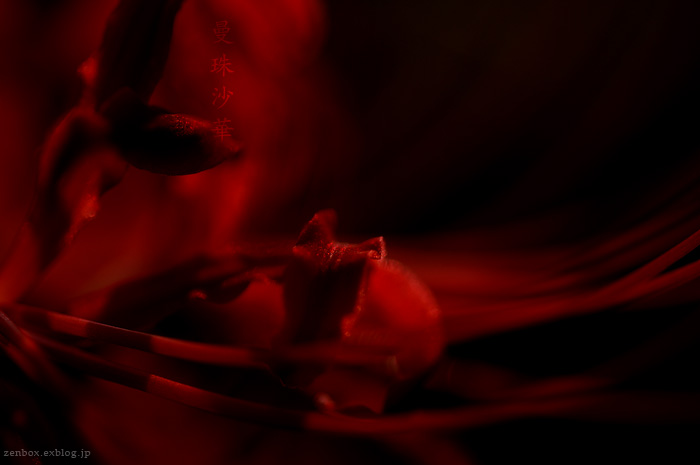 e0179644_18481928.jpg