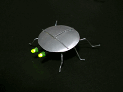 e0005548_034138.gif
