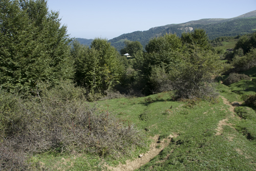b0006449_1531348.jpg