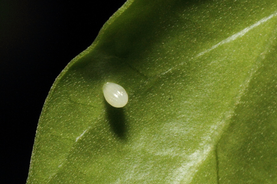 a0094850_14202639.jpg