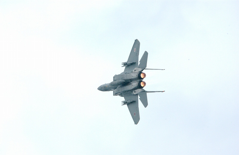 b0029350_872794.jpg