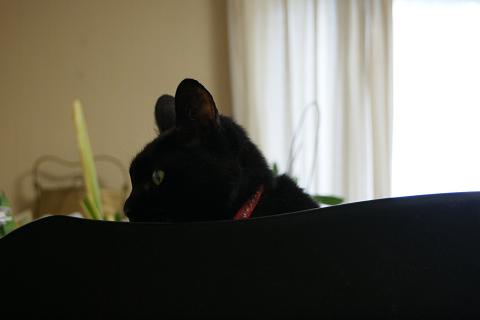 c0214455_16364490.jpg