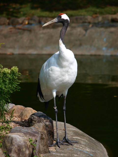 c0186760_2118454.jpg