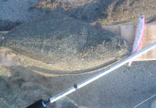 a0096669_2135366.jpg