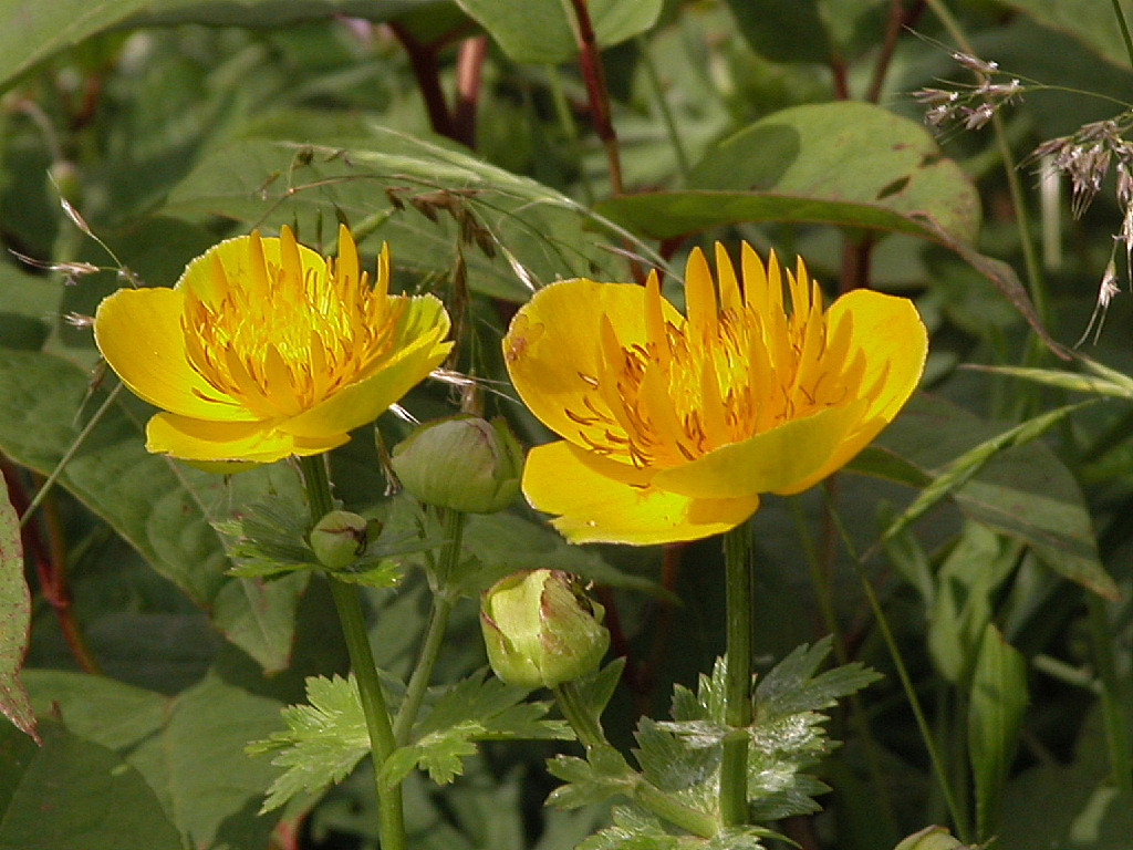 d0114270_12351199.jpg