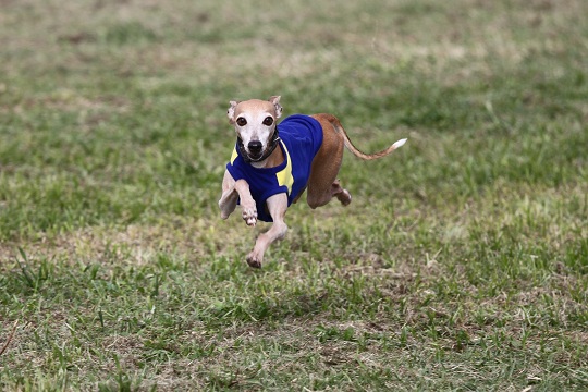 e0062371_20123076.jpg