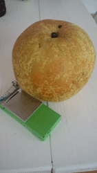 f0082772_937449.gif