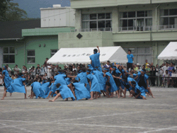 f0082772_9411012.gif