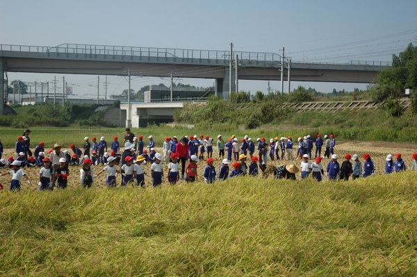 e0165575_1411450.jpg