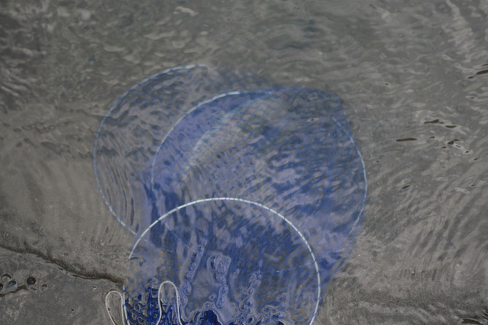 c0192077_22274869.jpg