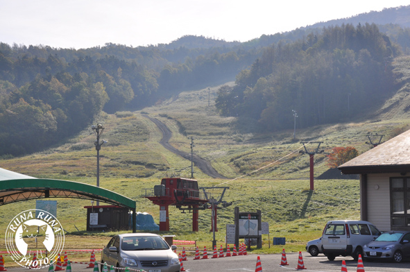 f0210380_15445361.jpg
