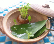 f0237680_12322462.jpg