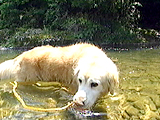 d0065484_17545263.jpg