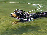 d0065484_17554561.jpg