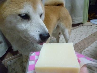 c0123890_20134730.jpg
