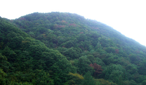b0099994_1158383.jpg