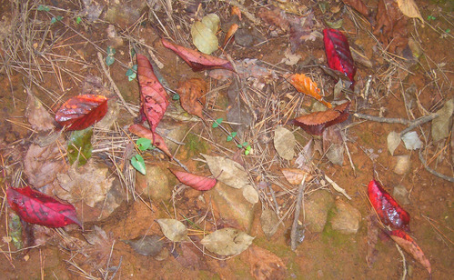b0099994_120346.jpg