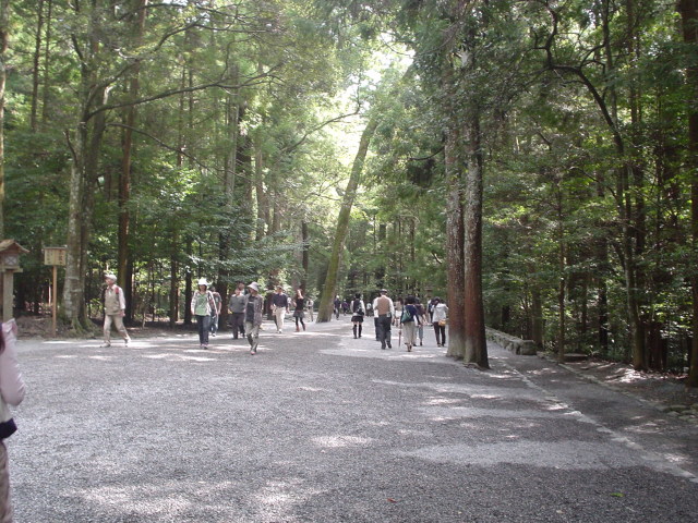 a0116205_22123210.jpg