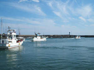 f0048405_14455968.jpg