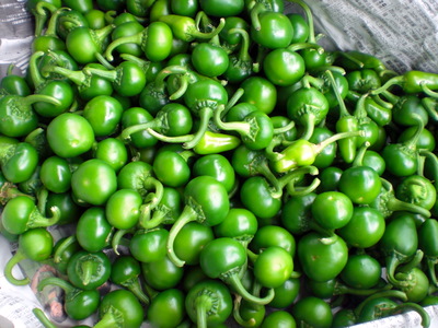 f0144707_864082.jpg