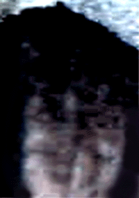 e0103408_65216.gif