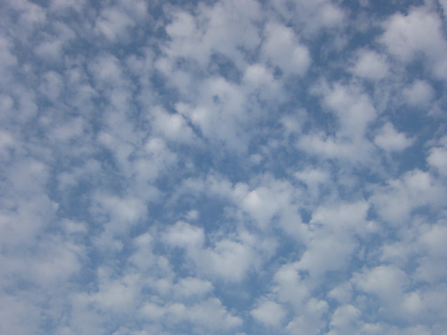 d0150309_21385819.jpg