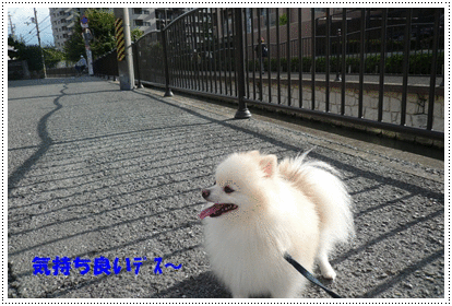 b0167519_9534379.gif