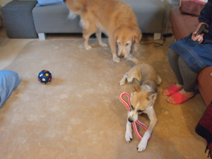 c0012120_2373987.jpg