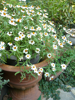 c0086221_17552937.jpg