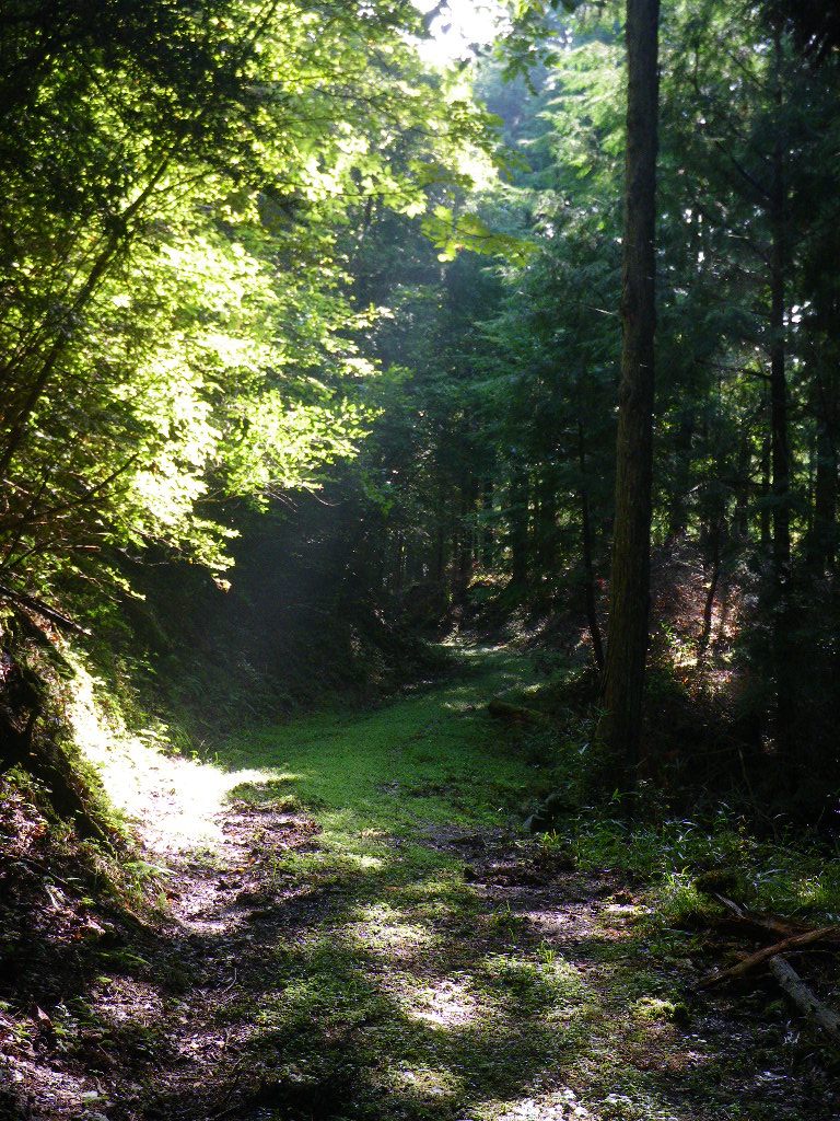 c0189724_19545674.jpg