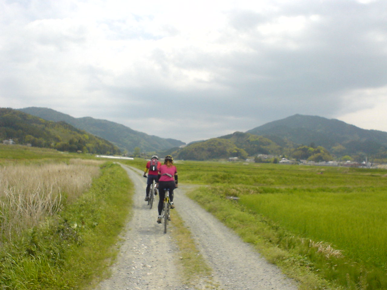 d0133127_16452282.jpg
