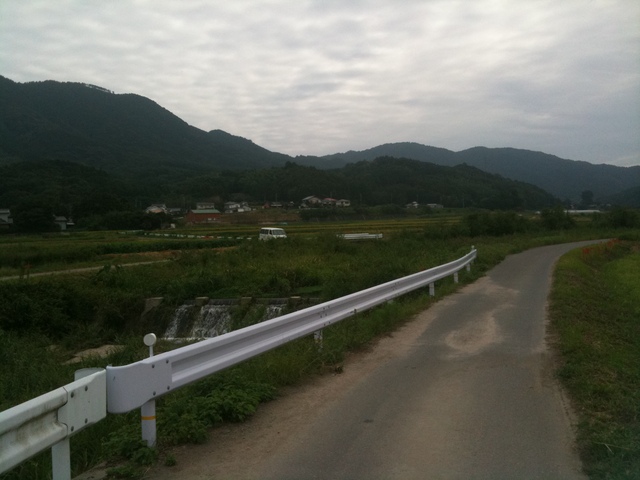 d0133127_16465577.jpg