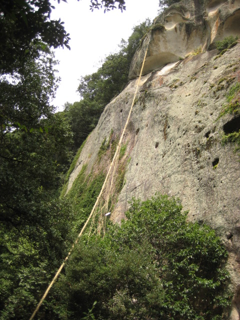d0147727_20141422.jpg