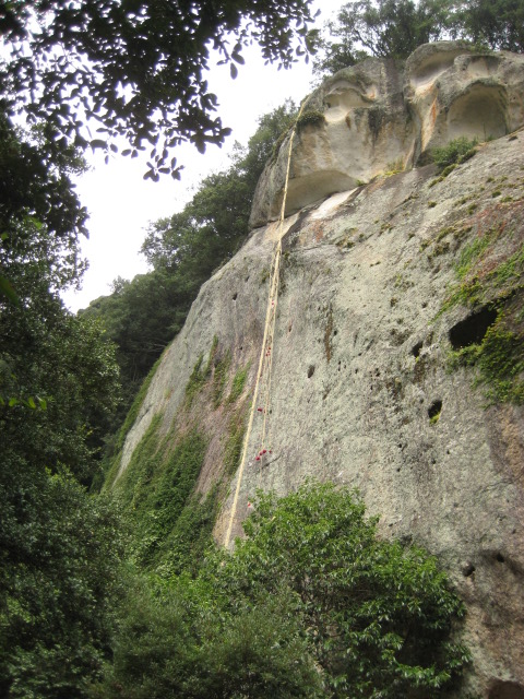 d0147727_20191070.jpg