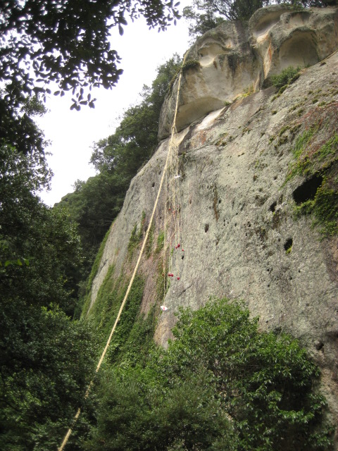 d0147727_2020285.jpg