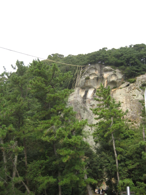 d0147727_20245694.jpg