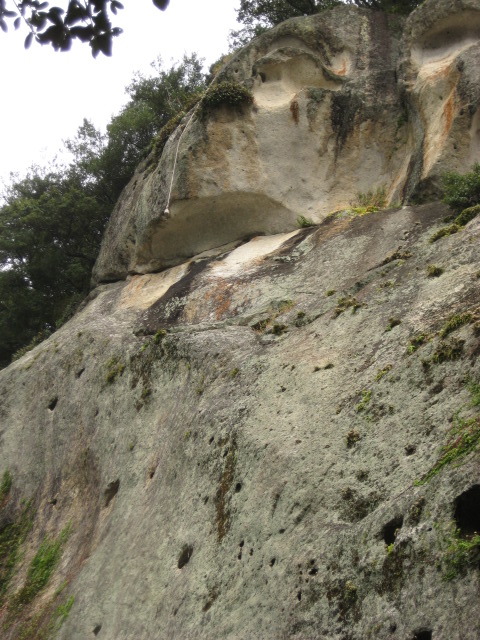 d0147727_208134.jpg