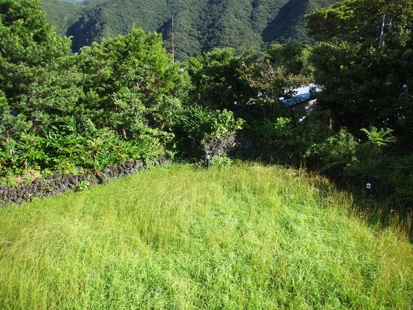 b0201233_23123616.jpg