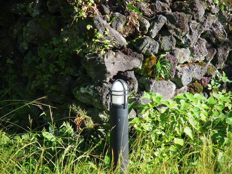 b0201233_23143554.jpg