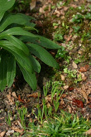c0134734_21594050.jpg