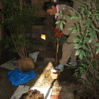 d0033734_5161491.jpg