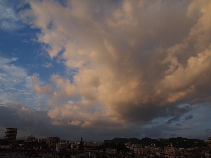 a0146442_7463466.jpg
