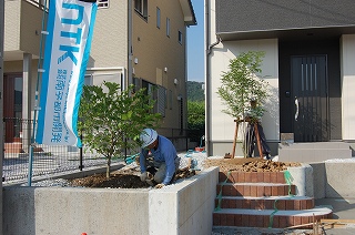 b0082242_17282871.jpg