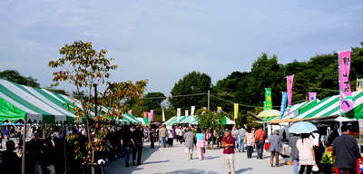 d0039443_914401.jpg